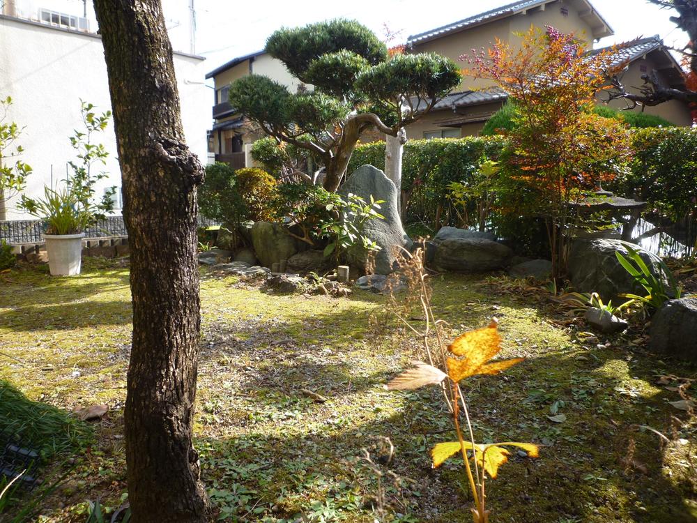Garden. It becomes a sunny Japanese garden