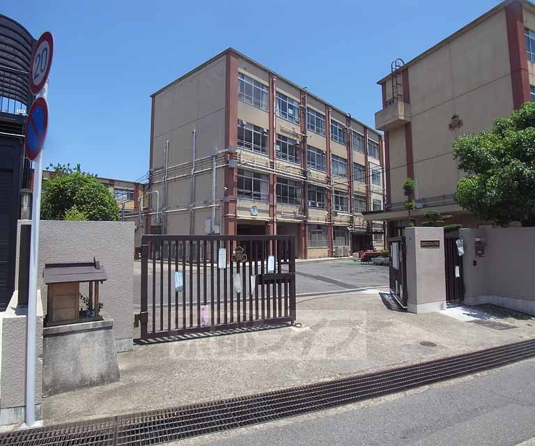Primary school. Dodo to elementary school (elementary school) 312m