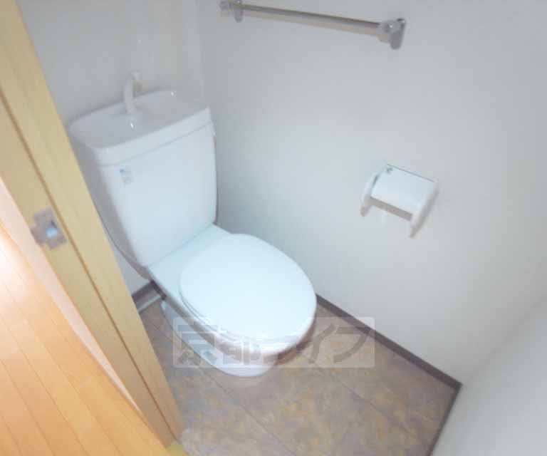 Toilet. It is a toilet with a calm atmosphere.