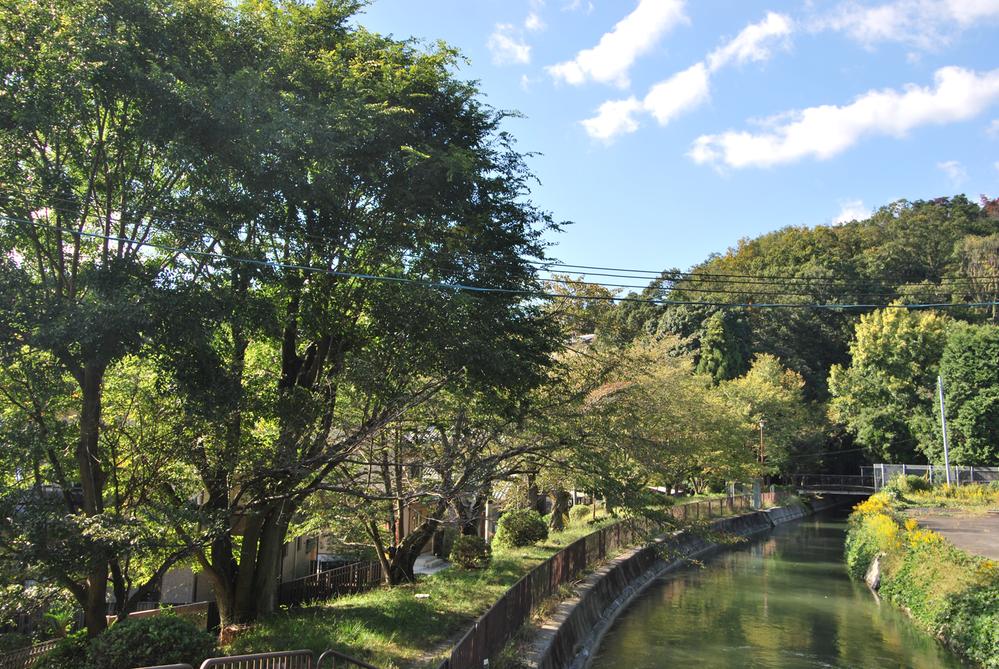 Other. Autumn leaves is very beautiful in cherry autumn in the spring there is a hydrophobic a 3-minute walk. It is also ideal along the hydrophobic as walking or child's playground! !
