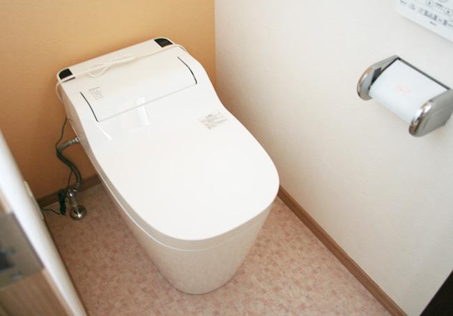 Toilet. With automatic cleaning function