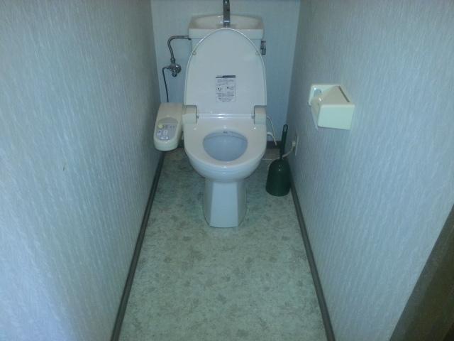 Other introspection. Toilet