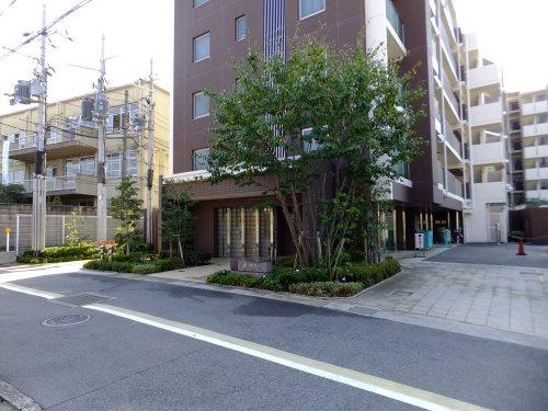 Entrance. Common areas