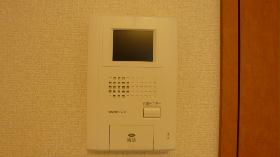 Other. Intercom equipped with monitor