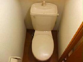 Toilet. There is storage space in the upper.