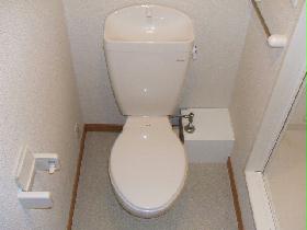 Toilet. There is storage space above.