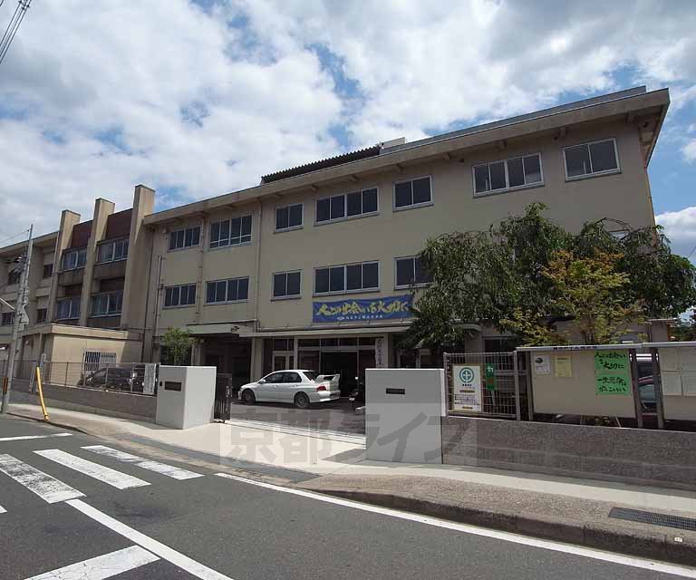 Junior high school. Katsuyama until junior high school (junior high school) 500m
