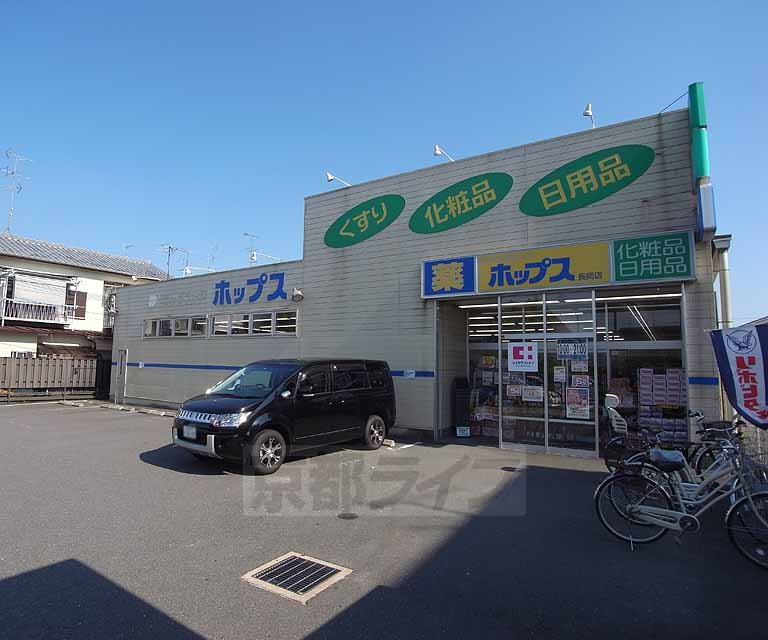Dorakkusutoa. Drugstore Hops Nagaoka shop 220m until (drugstore)