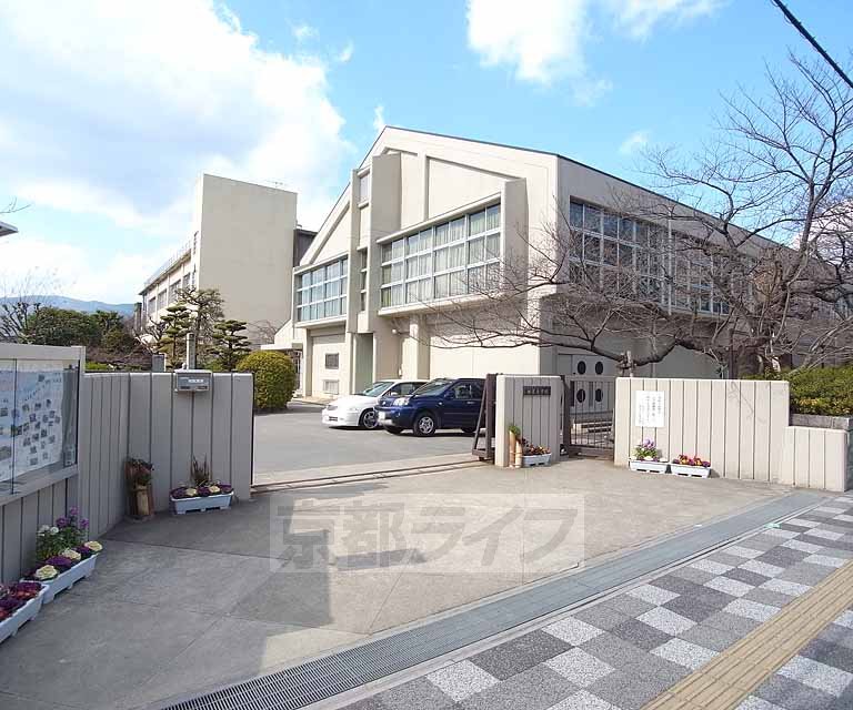 Primary school. Kotari to elementary school (elementary school) 850m
