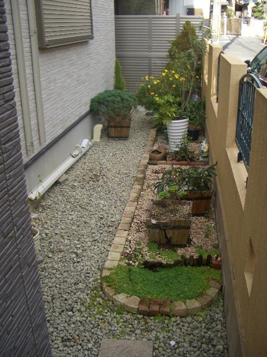 Garden. Garden space