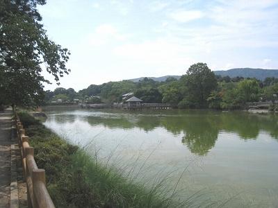 Other Environmental Photo. 300m to Nagaoka Tenmangu