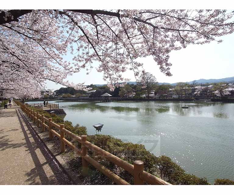 Other. 400m Hachijo until the pond (Other)