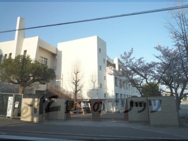 Primary school. 150m to Nagaoka third elementary school (elementary school)
