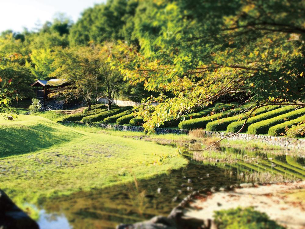 park. In the distance green revitalization Keihanna Memorial Park is a 3-minute walk. I'm looking forward also to look at the landscape of the four seasons
