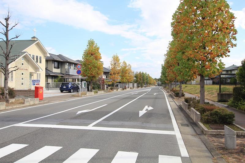 Sale already cityscape photo. Tree-lined streets are beautiful local