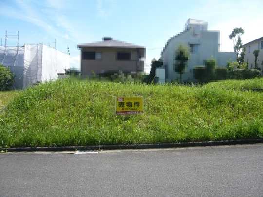 Local land photo. Land 71.39 square meters