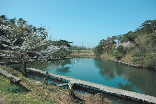 park. Bridle Pond Nature Park (about 11 minutes by car) cherry blossoms in spring, Summer camps and BBQ, Autumn foliage to pick up Yamakuri. Walking paths here of 100 election forest of forest, Animal house, There is also a tennis court