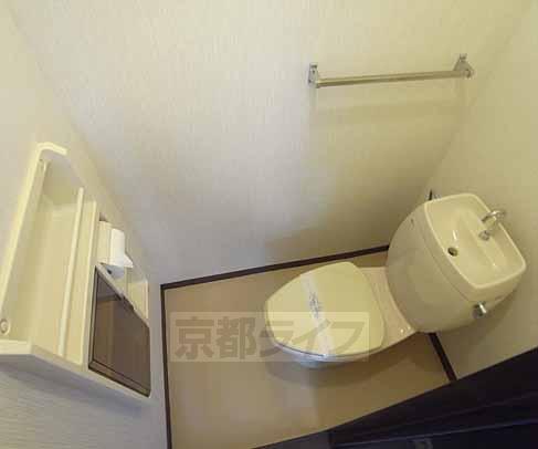 Toilet. Spacious toilet.