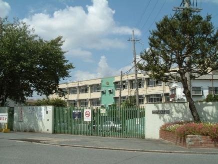 Primary school. Shinmei until elementary school 21m