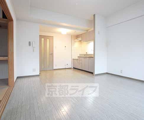 Living and room. Spacious LDK.