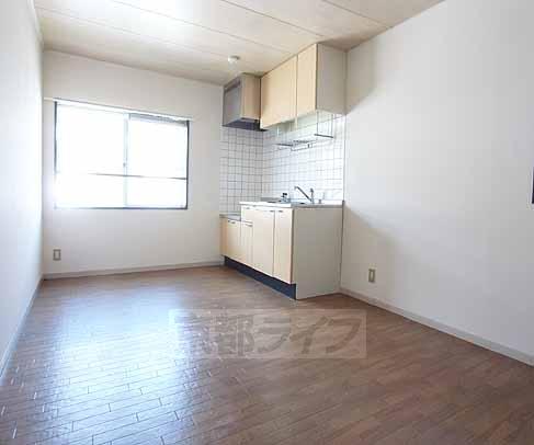 Living and room. Spacious LDK.