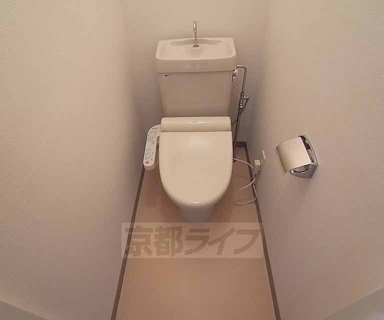 Toilet. Washlet toilet.