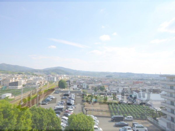 View. From the veranda.