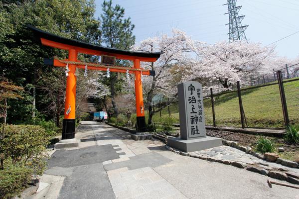 Other Environmental Photo. Uji 470m to the upper shrine