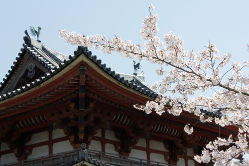 Other. There is a national treasure of "Byodoin Temple" Uji. 