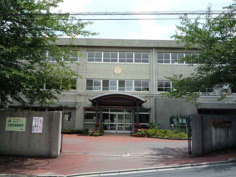 Primary school. 320m to Yahata Municipal Sakura elementary school (elementary school)