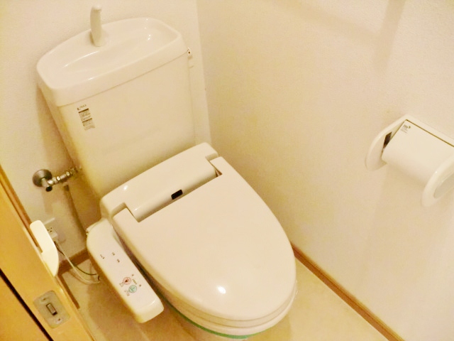 Toilet. Cleaning heating toilet seat!