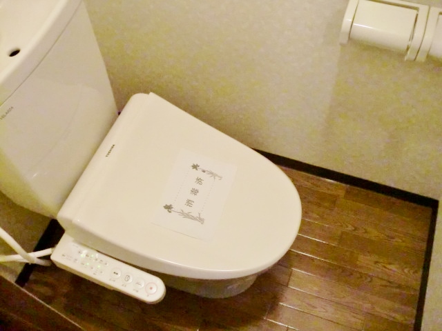 Toilet. Brokerage commissions zero ☆