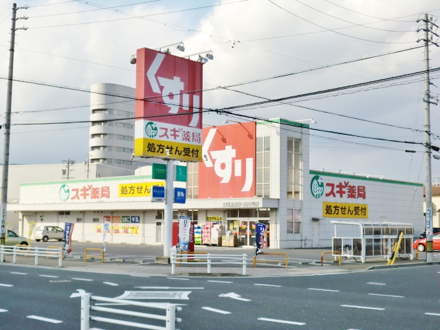 Dorakkusutoa. Cedar pharmacy Iga Ueno shop 1112m until (drugstore)