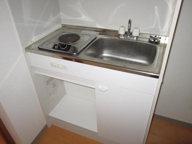 Kitchen. Sink (with electric stove)