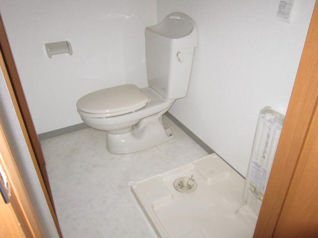 Toilet. toilet, Laundry Area