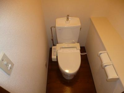 Toilet. Heating toilet seat bidet