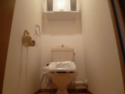 Toilet. With Washlet