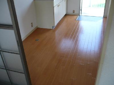 Living and room. Vinyl flooring