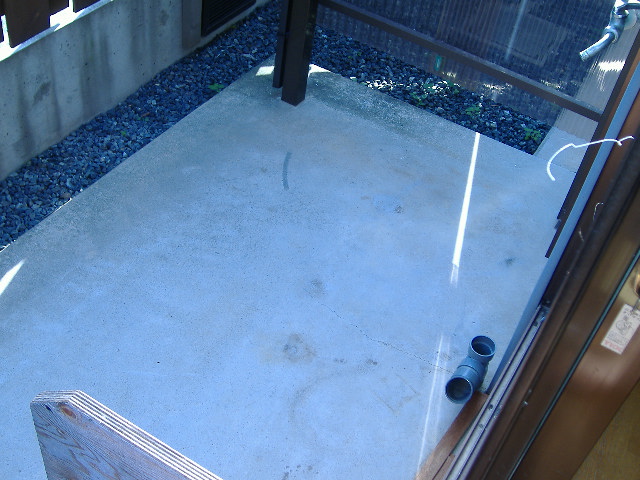 Garden. terrace
