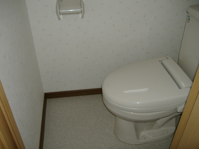 Toilet. Heating toilet seat