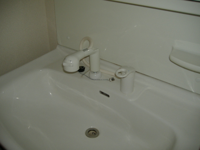 Washroom. Wash basin with separate shower