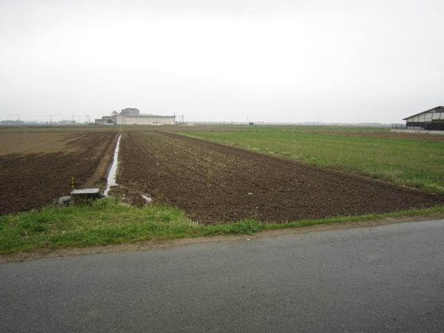 Local land photo