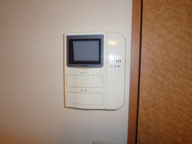 Security. Monitor with intercom