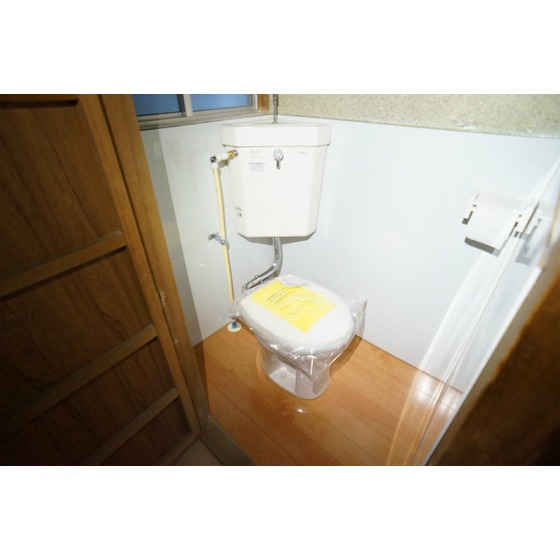 Toilet. Refurbished