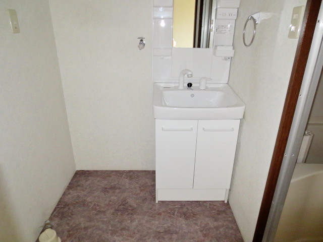 Washroom. Washbasin with shower (new), Laundry Area