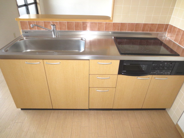 Kitchen. Sink (with IH cooker)