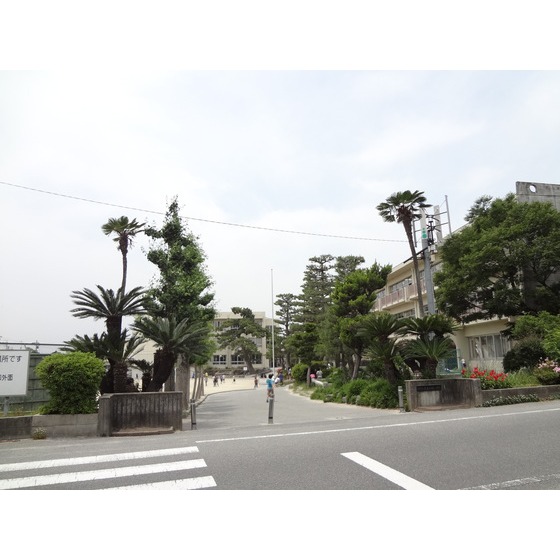 Primary school. Municipal Nagashima to Central Elementary School (Elementary School) 570m