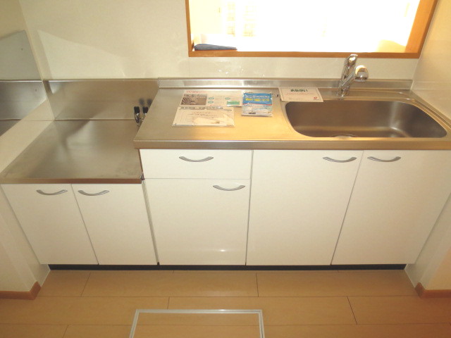 Kitchen. Sink