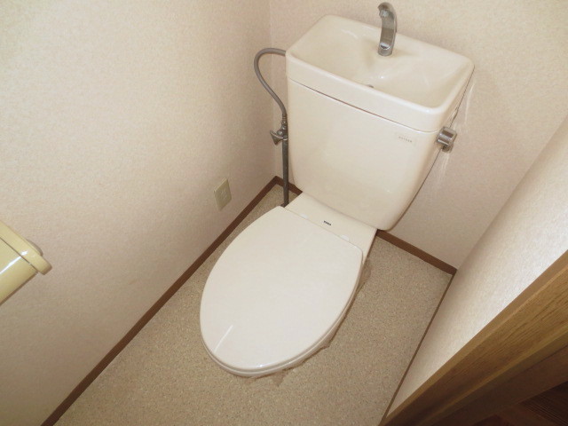 Toilet. Toilet