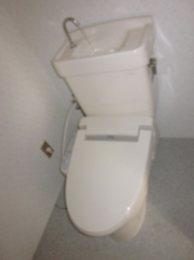 Toilet